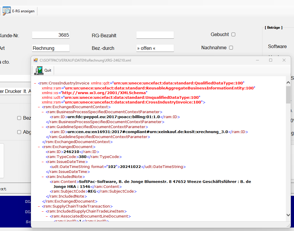 XML-Ansicht der E-Rechnung